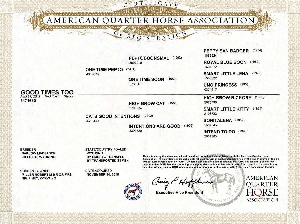 Certificate of Registration